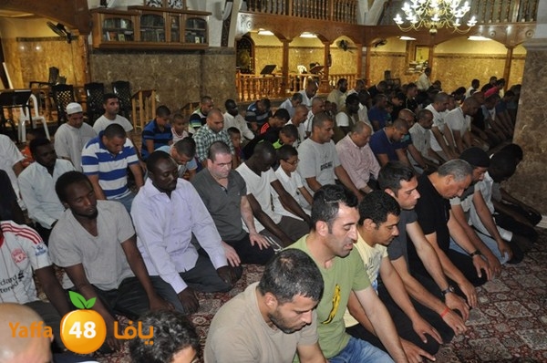 trawe7 mahmodiya 713 (42).JPG